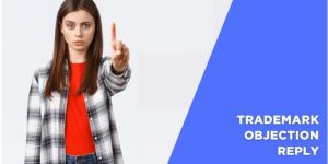 Trademark Objection Reply Service