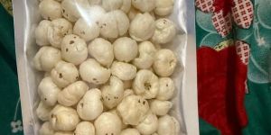 Makhana