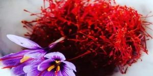 Premium Red Kashmiri Saffron Threads