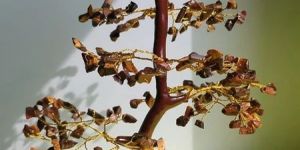 Tiger Eye Chip Crystal Decor Tree