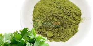 Coriander Leaves Powder