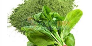 Dehydrated Spinach Powder