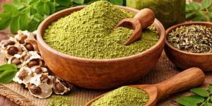 Dehydrated Moringa Powder