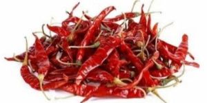 Premium Whole Red Chilli