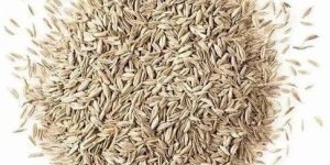 White Cumin Seeds