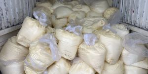 Cow Dairy Cream