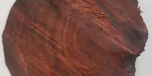 Natural Red Sandalwood Logs