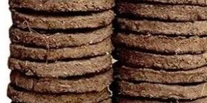 Cow Dung Cakes