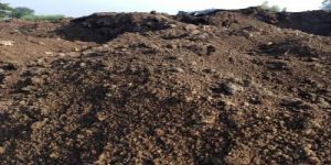 Pressmud