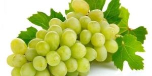 Nashik Fresh Green Grapes