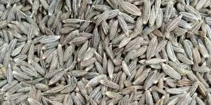 Brown Organic Cumin Seeds