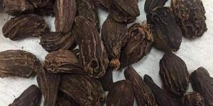Organic Black Cardamom Seeds