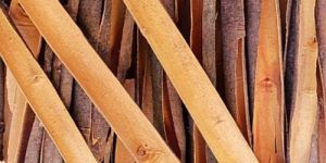 Organic Cinnamon Sticks