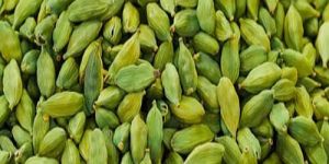 Organic Green Cardamom Seeds
