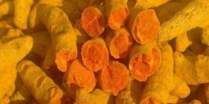 Organic Turmeric Finger