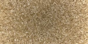 Brown Rice
