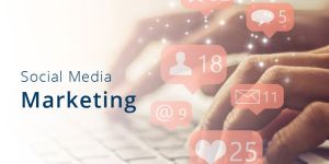 Digital Marketing Agency in Noida