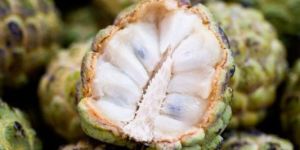 Custard Apple