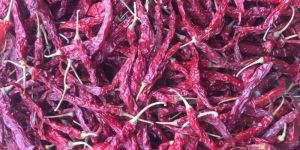 Byadgi Red Chilli