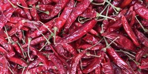 Guntur Sannam Red Chilli
