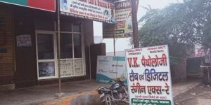 blood urine testing services