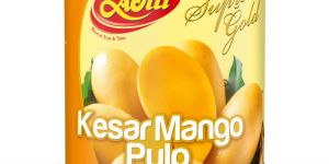850gm Canned Aditi Kesar Mango Pulp