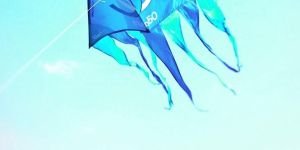 Unique Shape Promotional Nylon Kite