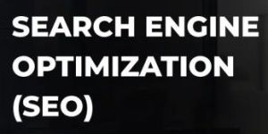 Search Engine Optimization (SEO)
