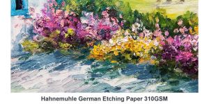 hahnemuhle german etching printing paper
