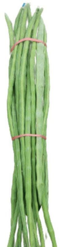Drumstick