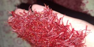 Saffron