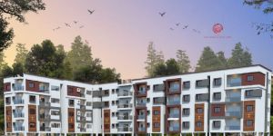 sv royal real estate developer