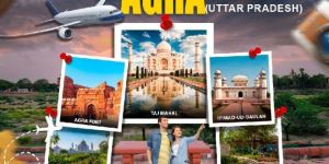 Best Honeymoon Trip Planner in Delhi