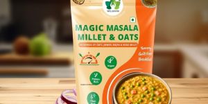 wellmonk magic masala millet oats