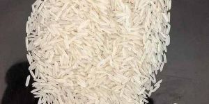 1509 Basmati Rice