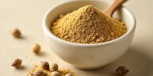 Dried Coriander Powder