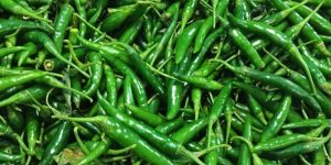 Green Chili