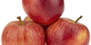 Fresh Red Apple