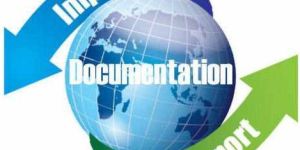 Import Documentation Service