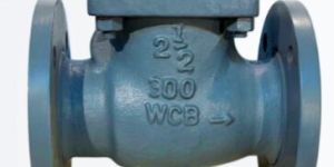 Cast Carbon Steel Swing Check Valve
