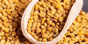 Fenugreek Seed