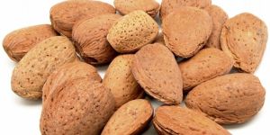 Hard Shell Kashmiri Almonds