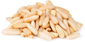 Pinenut Kernels