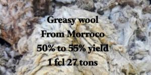 Greasy Wool