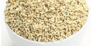 Maize Corn Germ