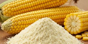 Yellow Corn Flour