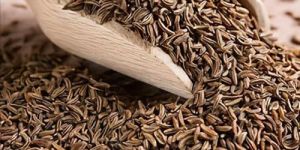 Cumin Seeds