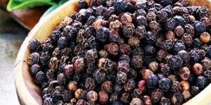 Black Pepper