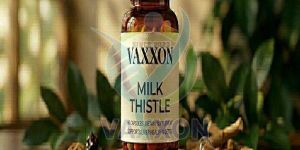 Milk Thistle Capsule