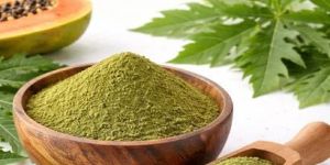 Papaya Leaf Powder